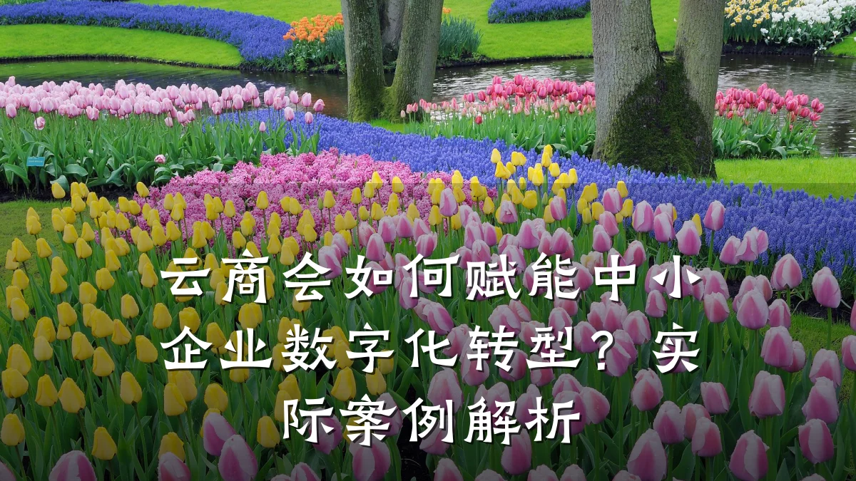 云商会如何赋能中小企业数字化转型?实际案例解析