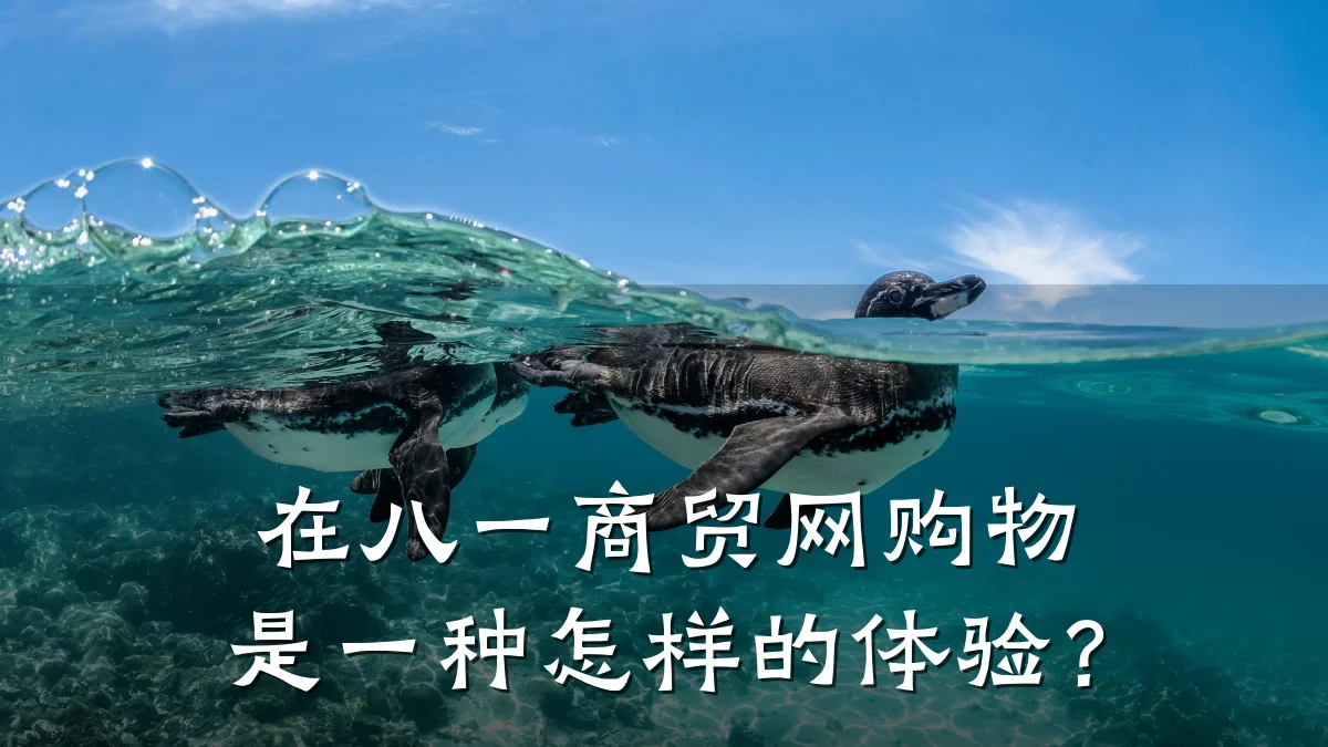 在八一商贸网购物是一种怎样的体验?