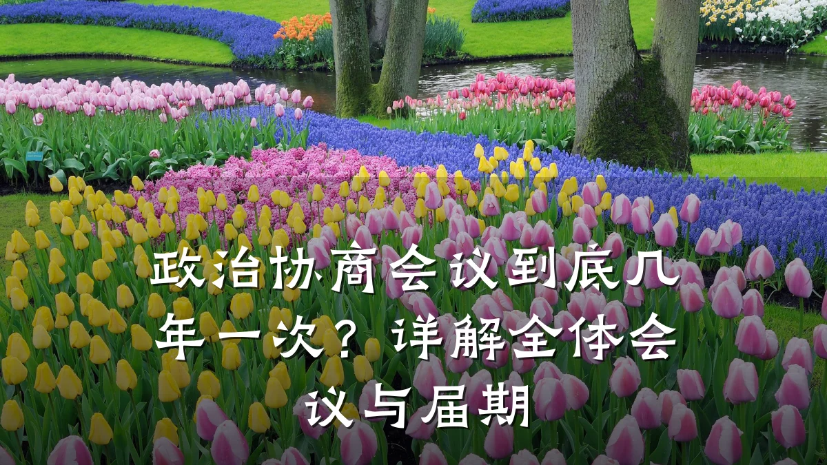 政治协商会议到底几年一次?详解全体会议与届期