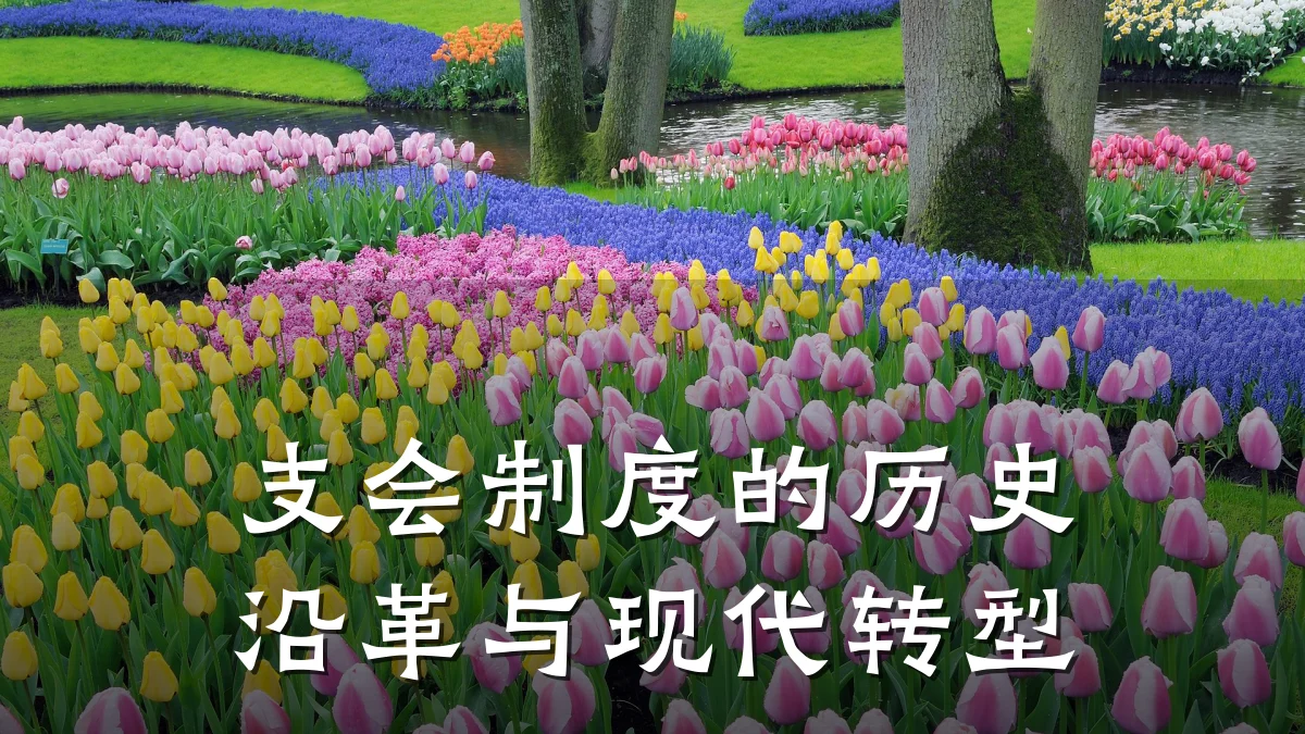 支会制度的历史沿革与现代转型