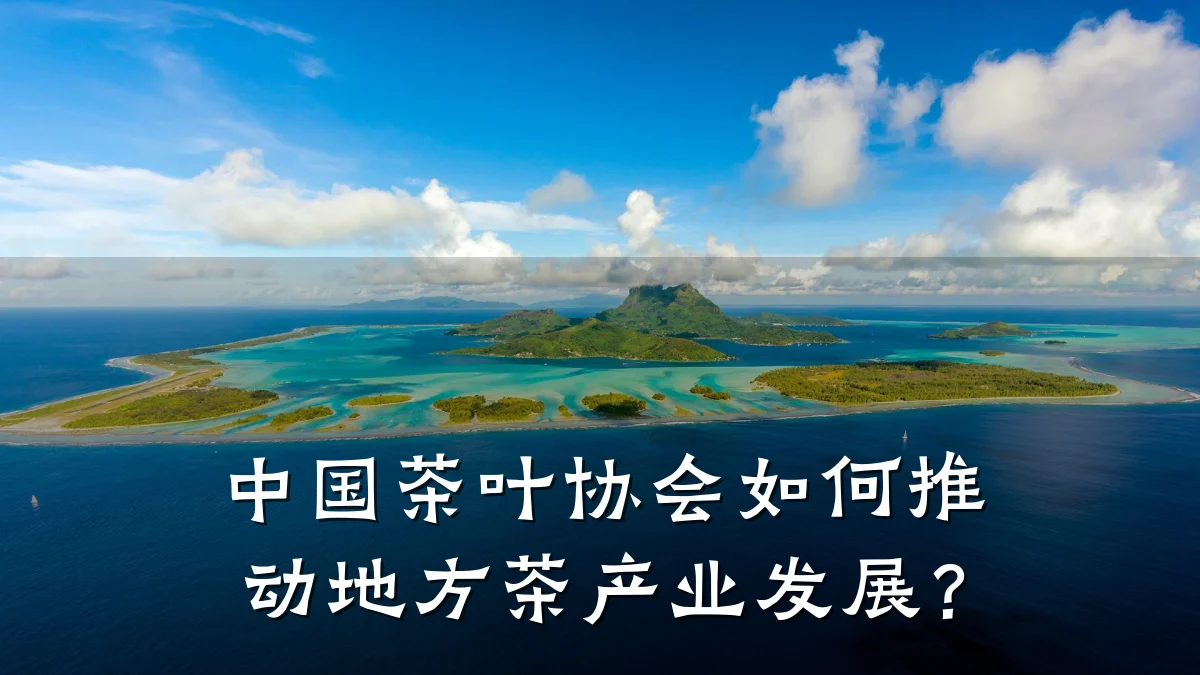 中国茶叶协会如何推动地方茶产业发展?