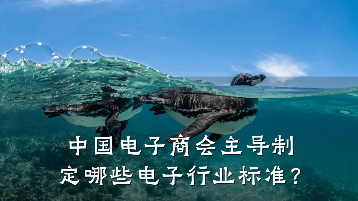 中国电子商会主导制定哪些电子行业标准?