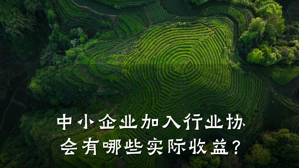 中小企业加入行业协会有哪些实际收益?