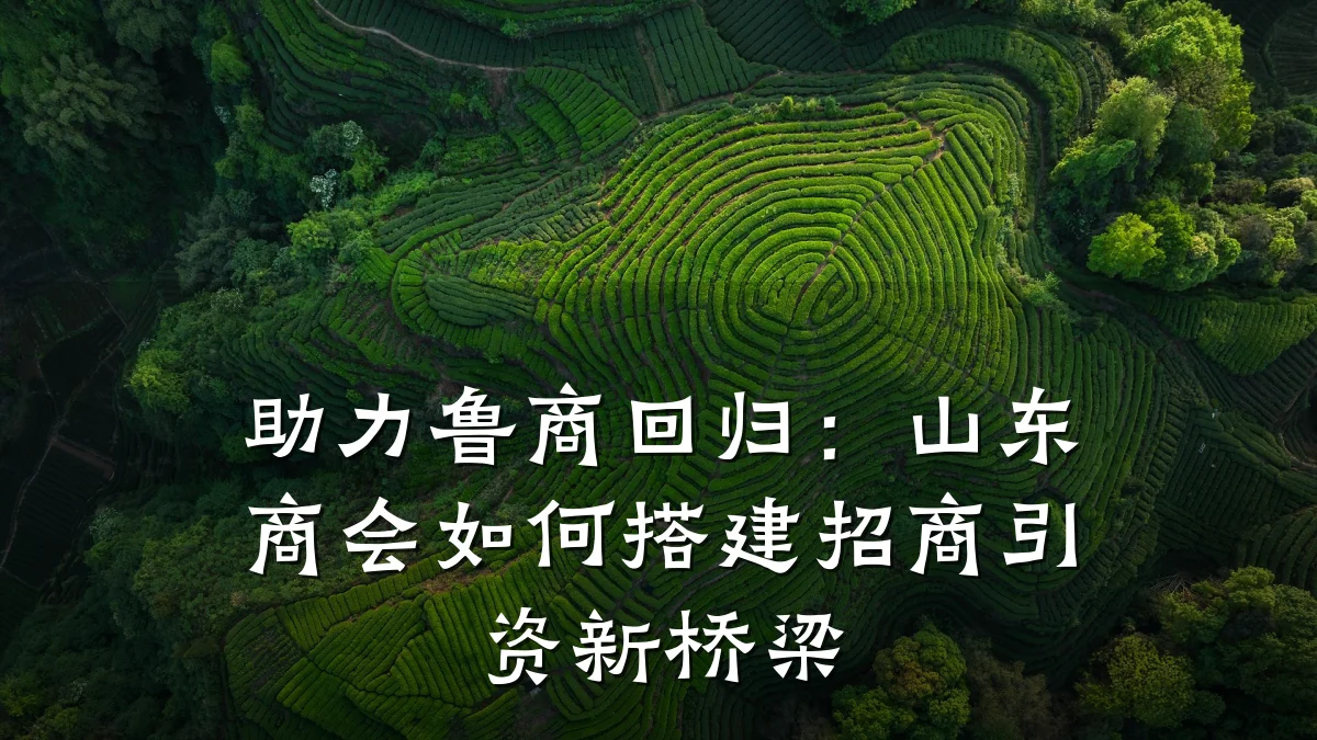 助力鲁商回归:山东商会如何搭建招商引资新桥梁
