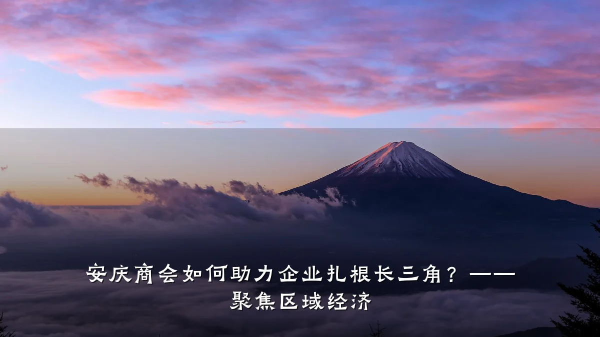 安庆商会如何助力企业扎根长三角?—— 聚焦区域经济