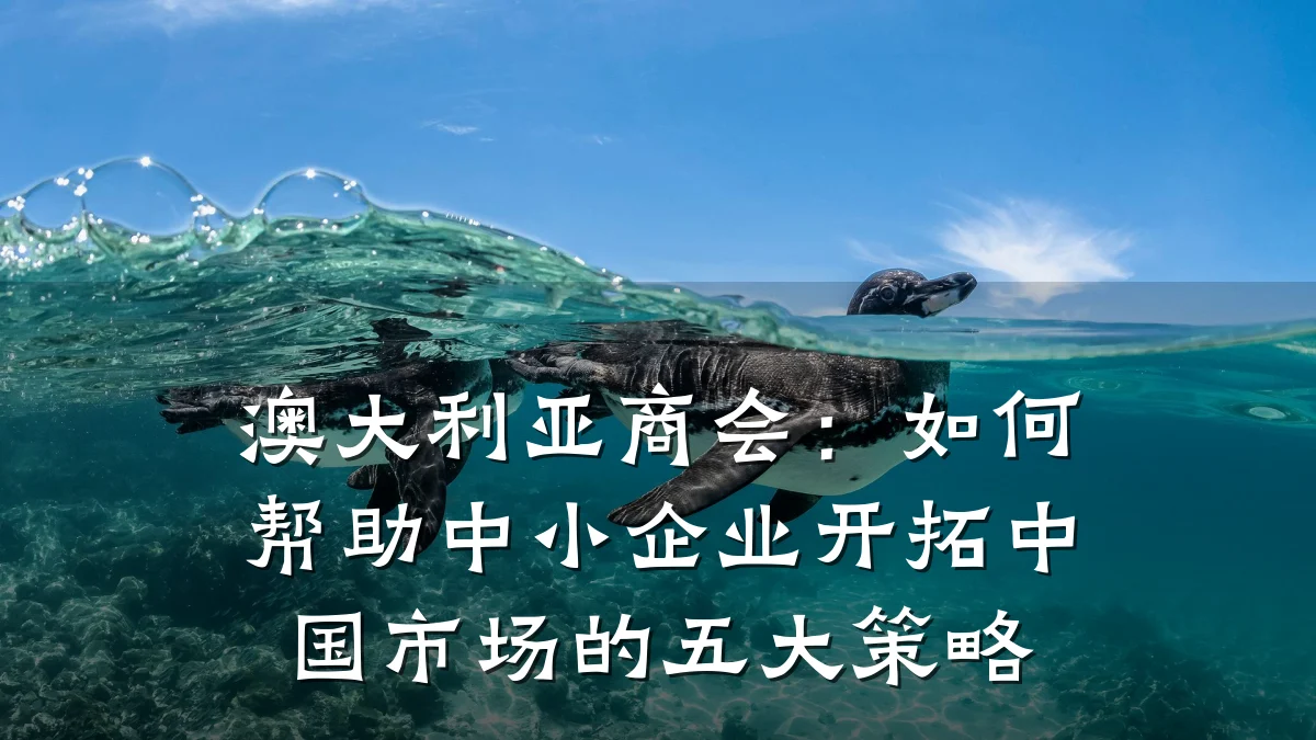 澳大利亚商会:如何帮助中小企业开拓中国市场的五大策略