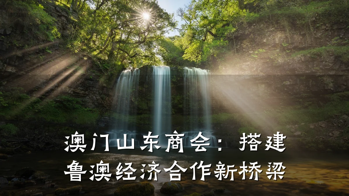 澳门山东商会:搭建鲁澳经济合作新桥梁