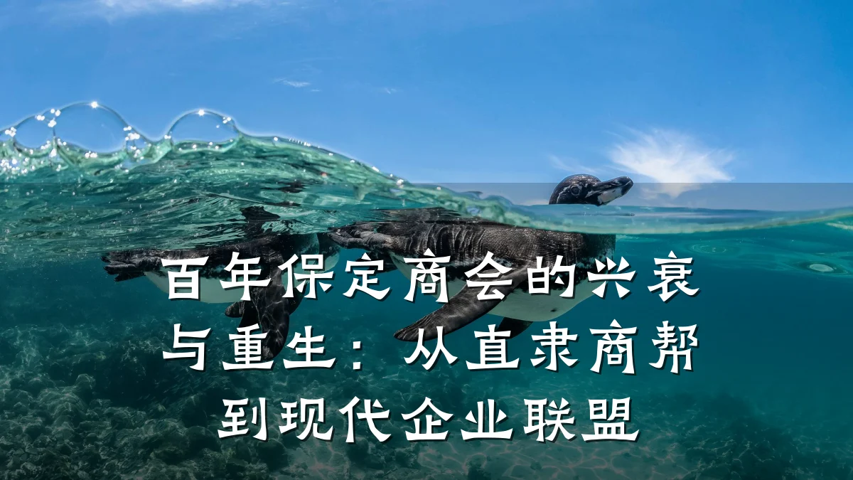 百年保定商会的兴衰与重生:从直隶商帮到现代企业联盟