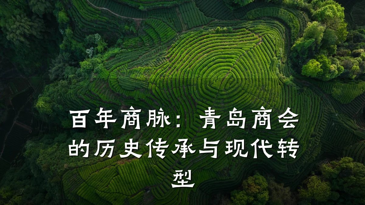 百年商脉:青岛商会的历史传承与现代转型