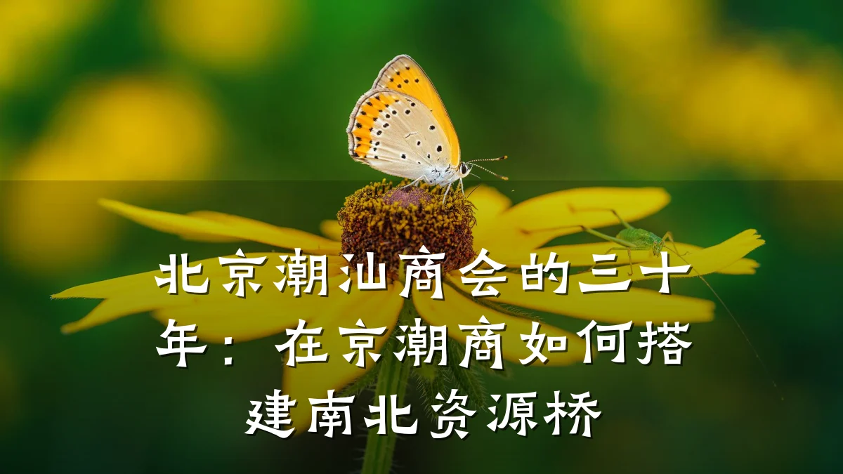 北京潮汕商会的三十年:在京潮商如何搭建南北资源桥