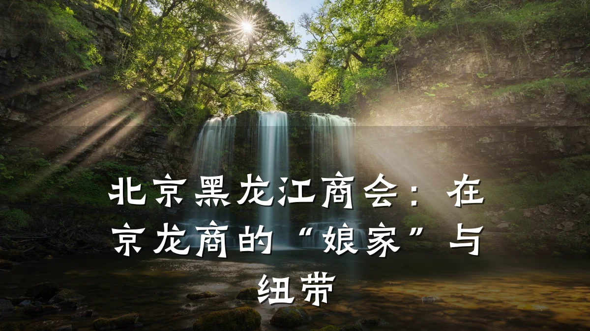 北京黑龙江商会：在京龙商的“娘家”与纽带