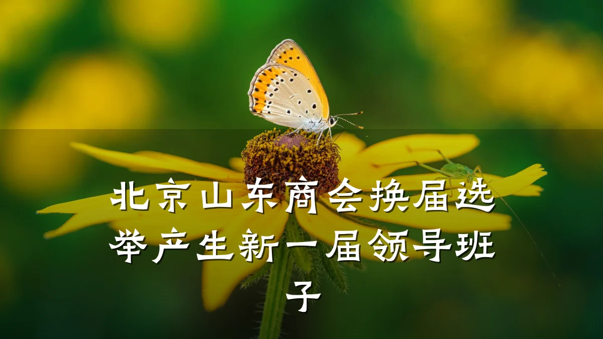 北京山东商会换届选举产生新一届领导班子