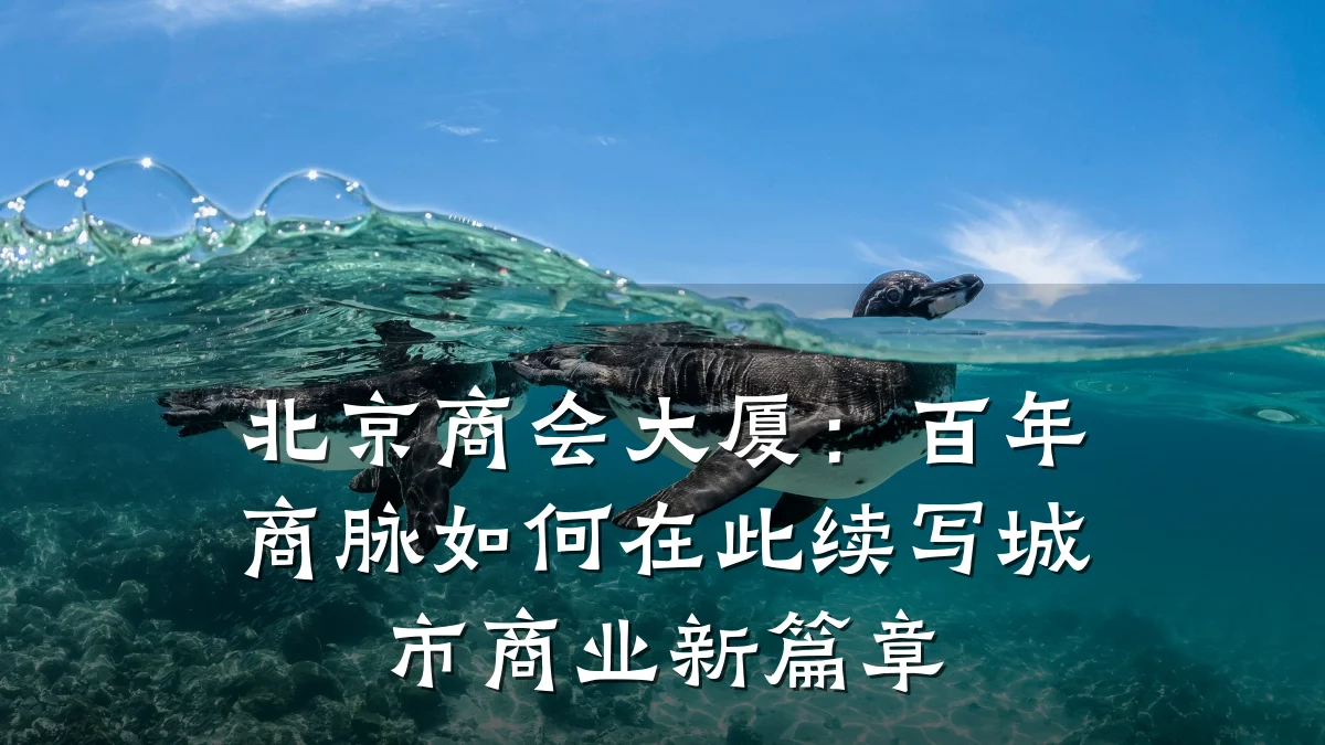 北京商会大厦：百年商脉如何在此续写城市商业新篇章