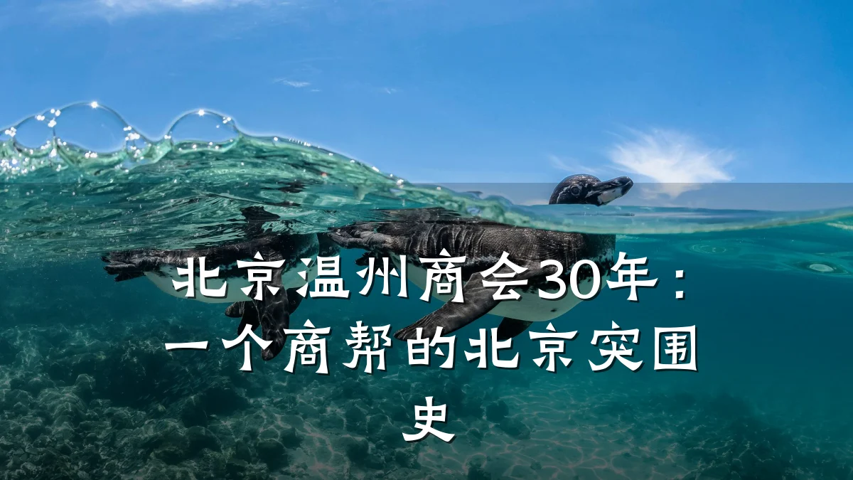 北京温州商会30年:一个商帮的北京突围史