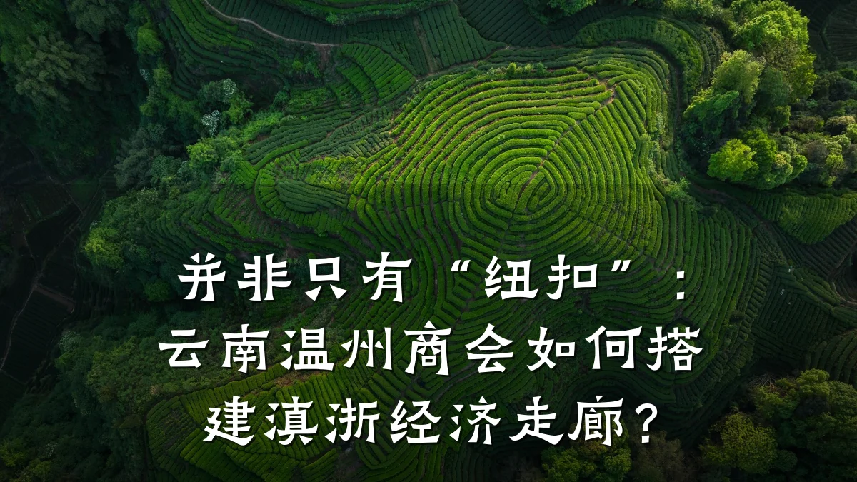 并非只有“纽扣”:云南温州商会如何搭建滇浙经济走廊?