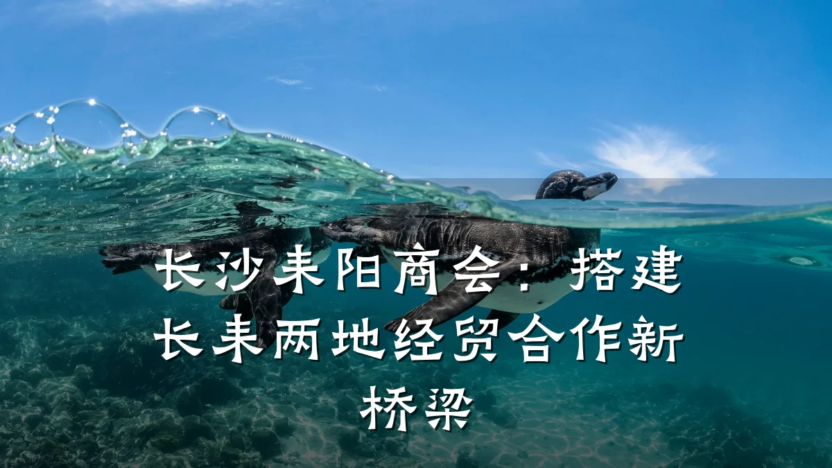 长沙耒阳商会：搭建长耒两地经贸合作新桥梁