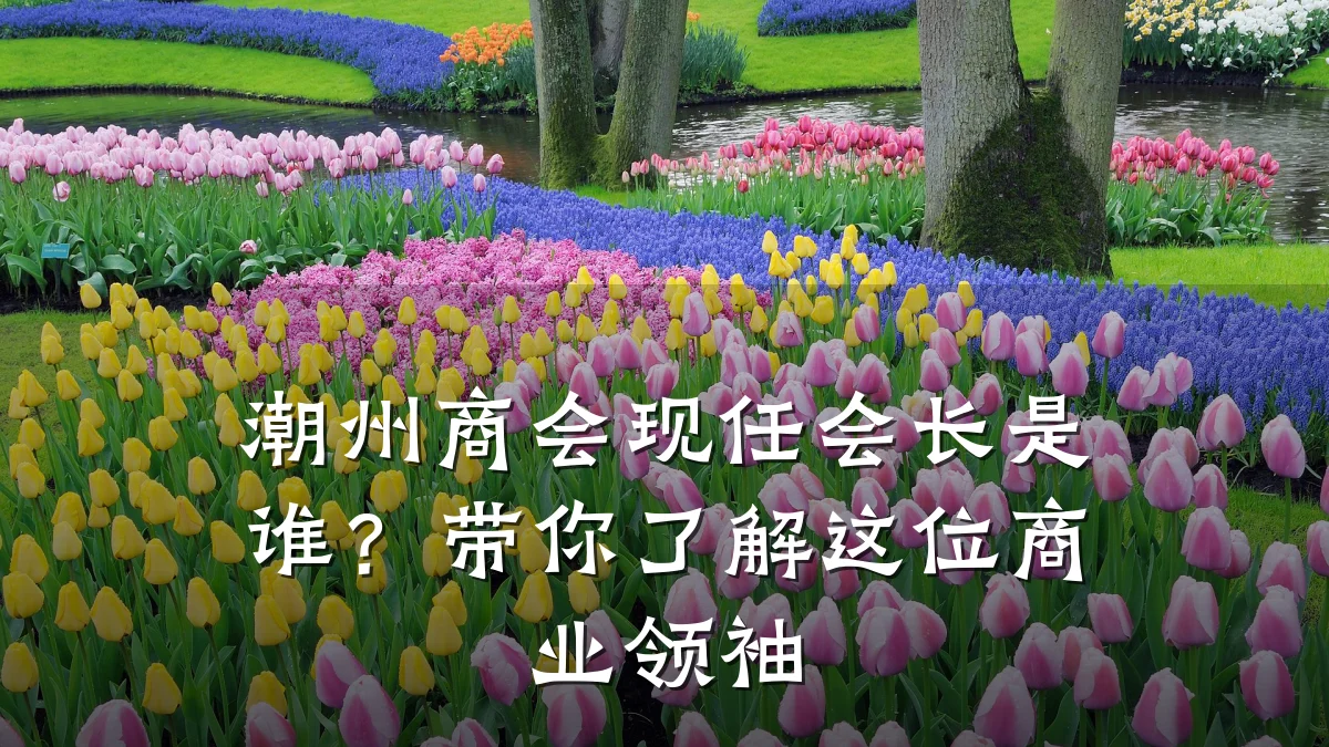 潮州商会现任会长是谁?带你了解这位商业领袖