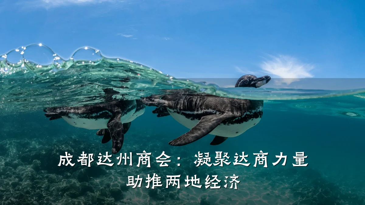 成都达州商会:凝聚达商力量 助推两地经济