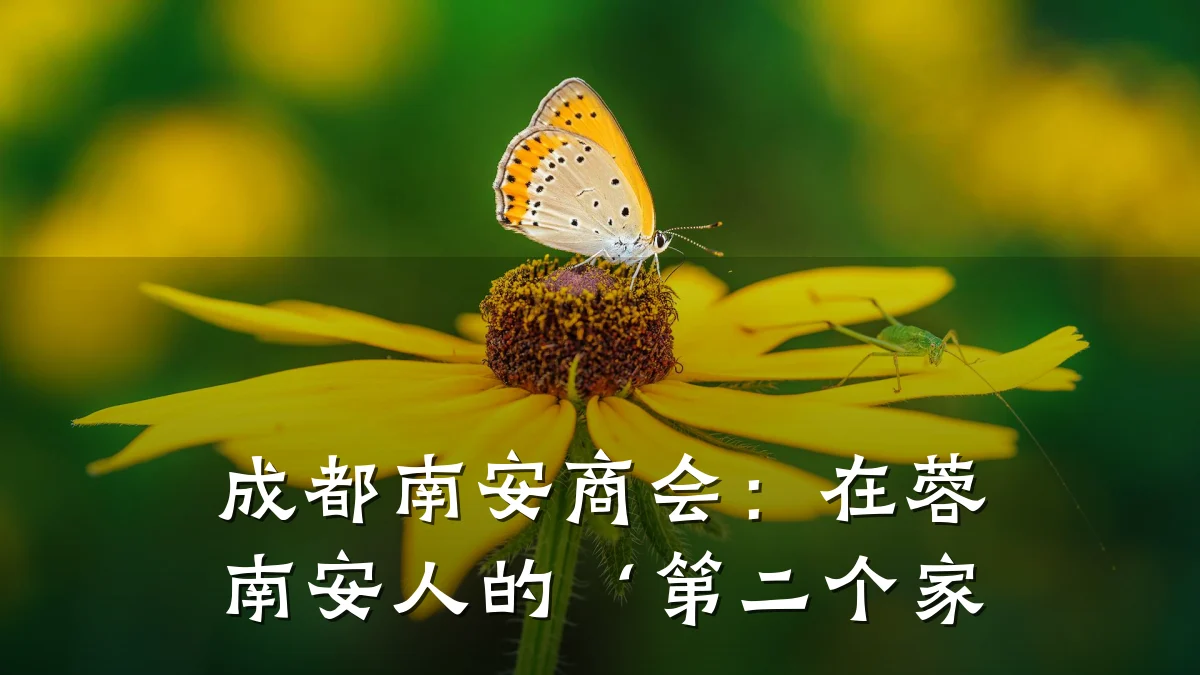 成都南安商会:在蓉南安人的‘第二个家