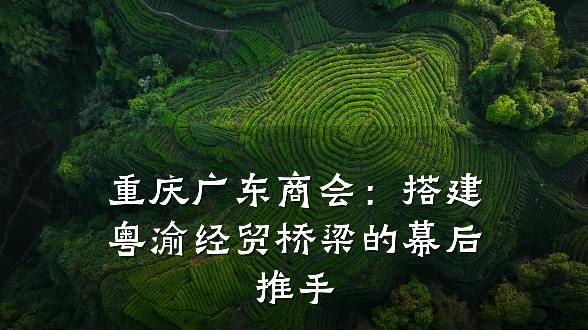 重庆广东商会:搭建粤渝经贸桥梁的幕后推手
