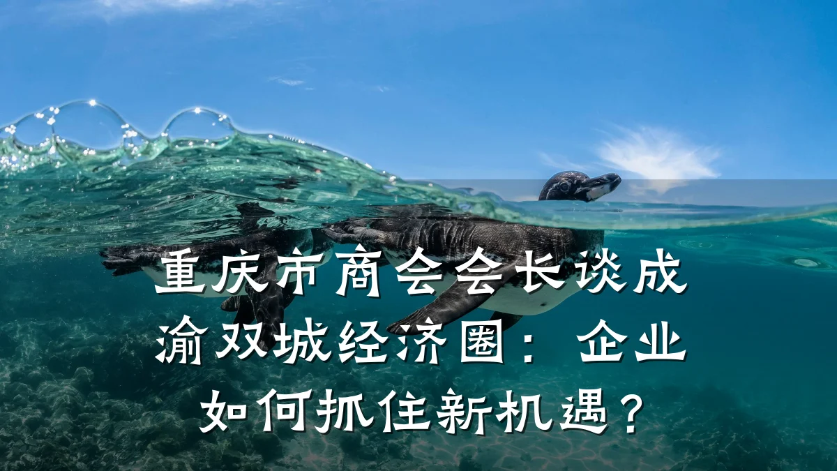 重庆市商会会长谈成渝双城经济圈：企业如何抓住新机遇？