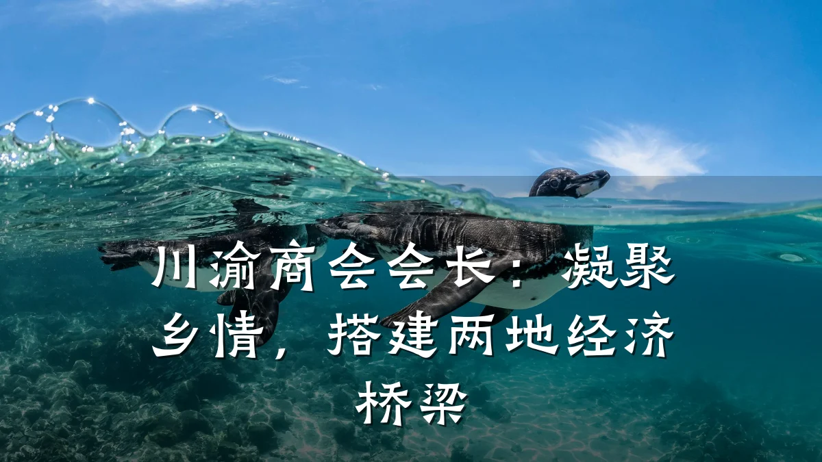 川渝商会会长:凝聚乡情,搭建两地经济桥梁
