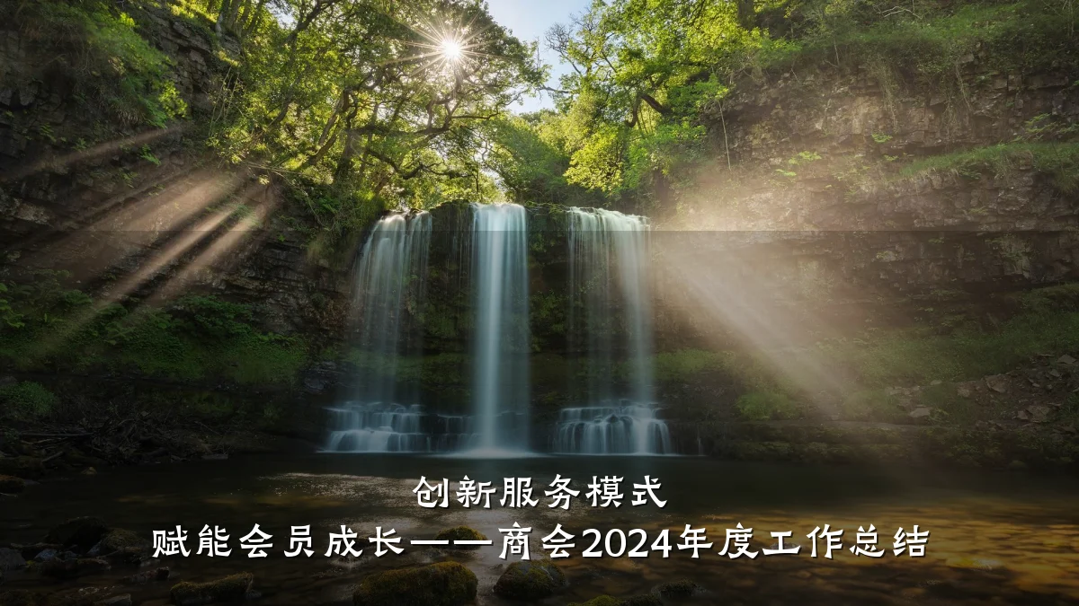 创新服务模式 赋能会员成长——商会2024年度工作总结
