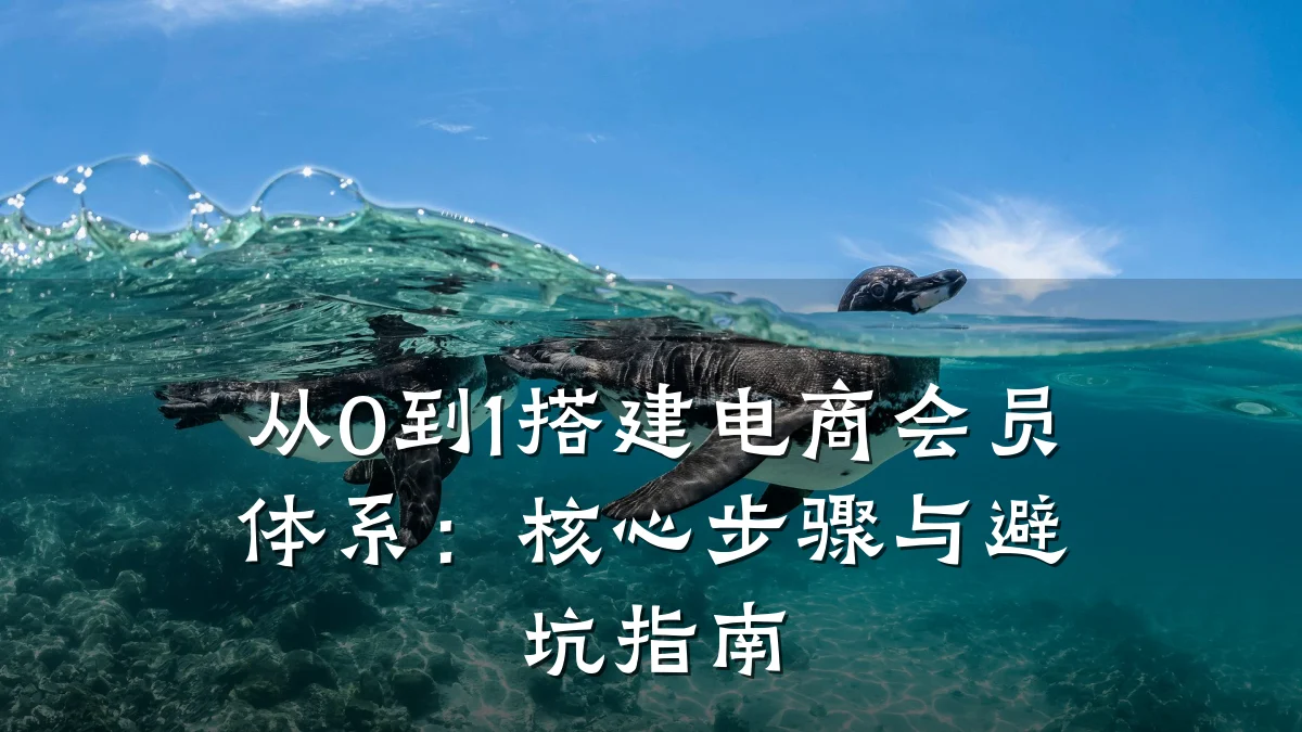 从0到1搭建电商会员体系:核心步骤与避坑指南