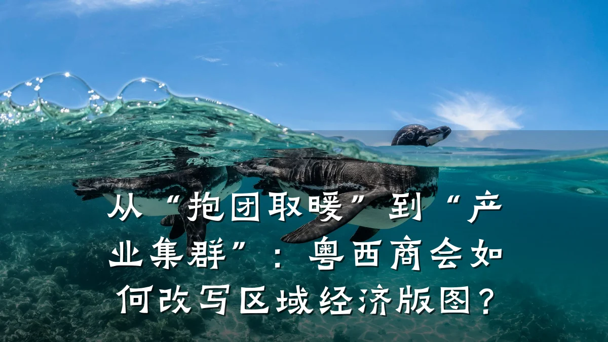 从“抱团取暖”到“产业集群”：粤西商会如何改写区域经济版图？