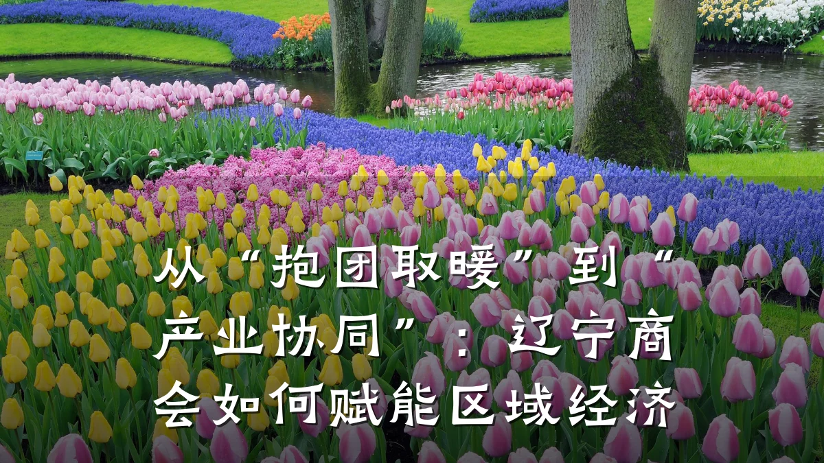 从“抱团取暖”到“产业协同”:辽宁商会如何赋能区域经济