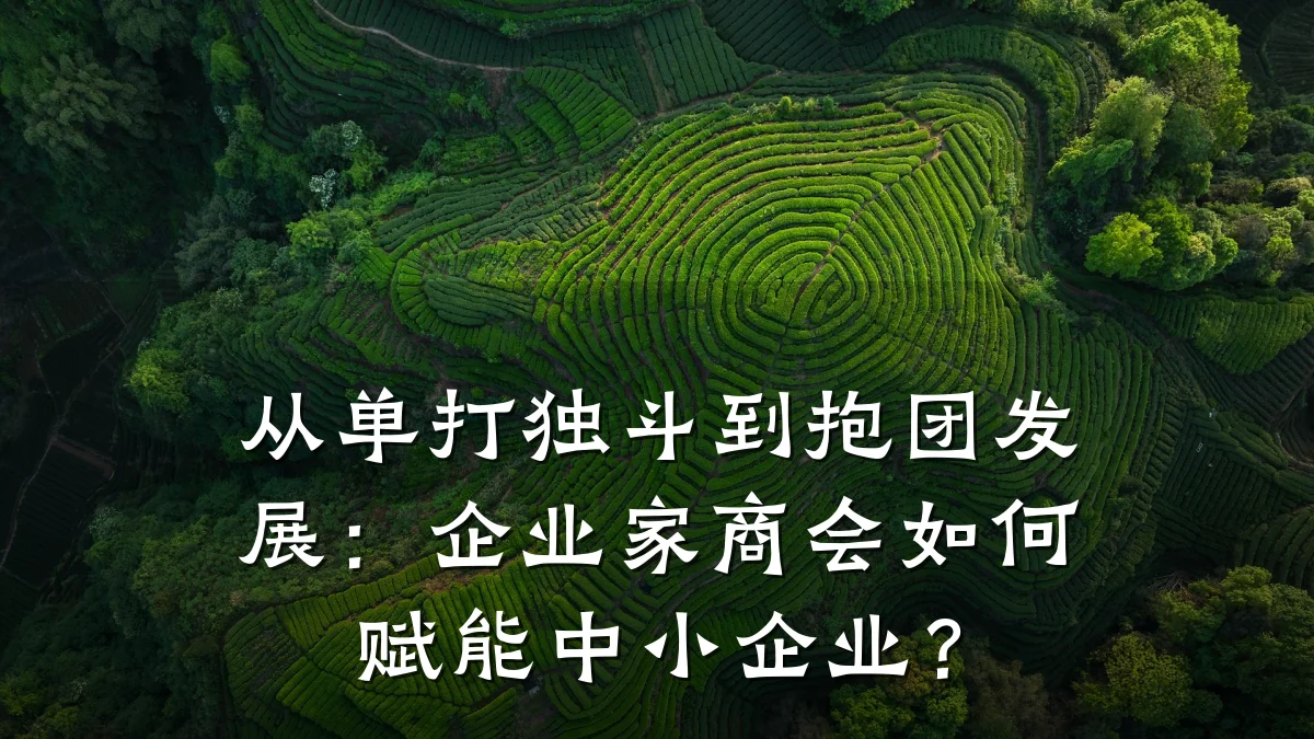 从单打独斗到抱团发展:企业家商会如何赋能中小企业?