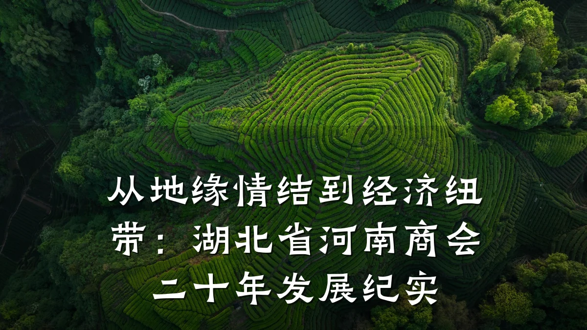 从地缘情结到经济纽带:湖北省河南商会二十年发展纪实