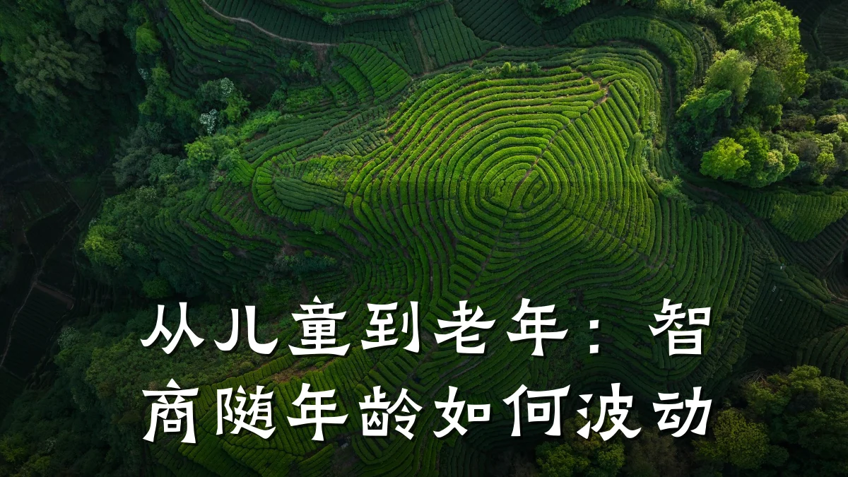 从儿童到老年:智商随年龄如何波动