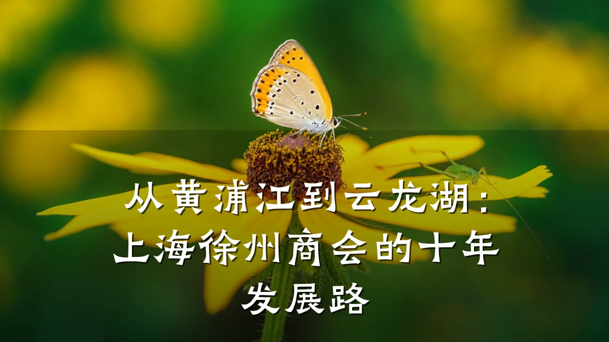 从黄浦江到云龙湖:上海徐州商会的十年发展路