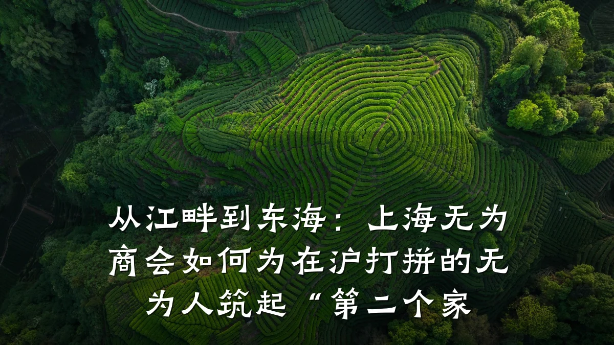 从江畔到东海:上海无为商会如何为在沪打拼的无为人筑起“第二个家