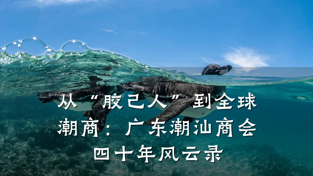 从“胶己人”到全球潮商:广东潮汕商会四十年风云录