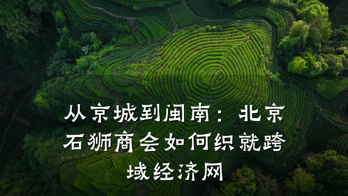从京城到闽南:北京石狮商会如何织就跨域经济网