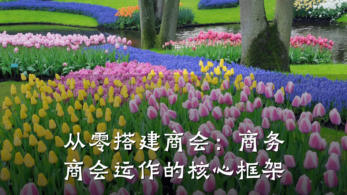 从零搭建商会：商务商会运作的核心框架