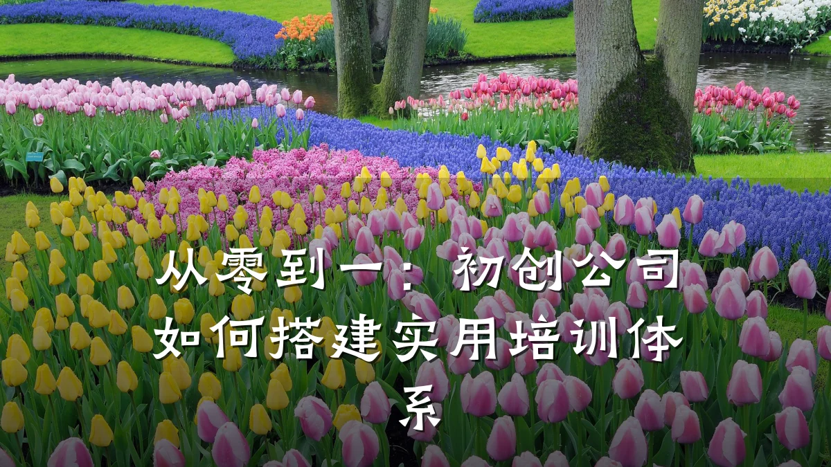 从零到一:初创公司如何搭建实用培训体系
