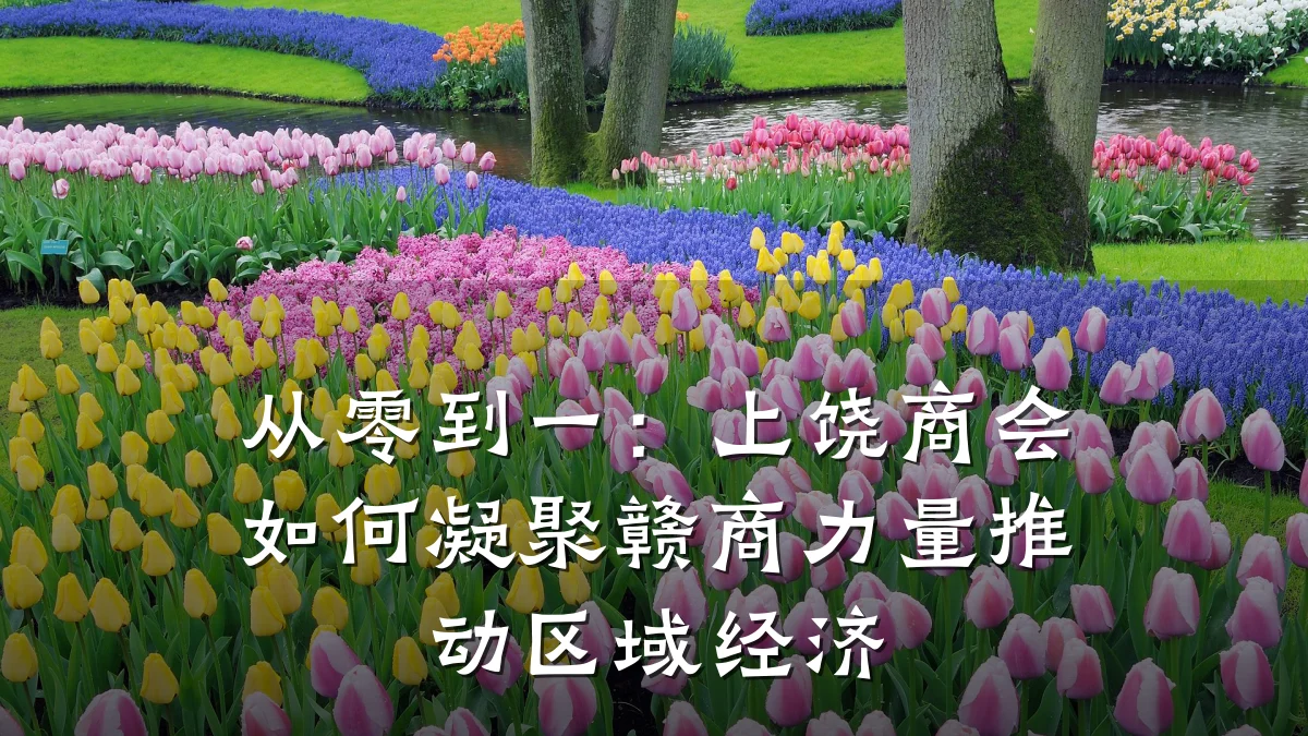 从零到一：上饶商会如何凝聚赣商力量推动区域经济