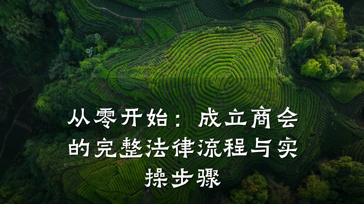 从零开始:成立商会的完整法律流程与实操步骤