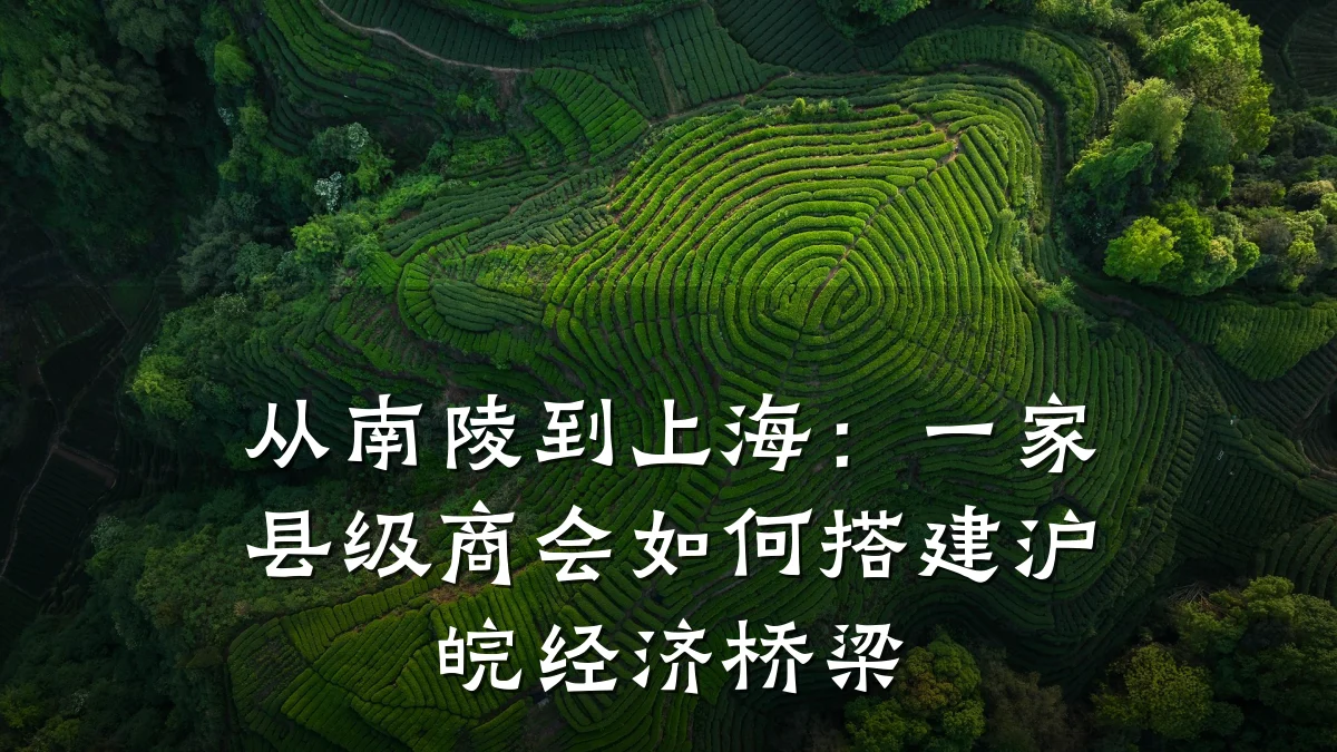 从南陵到上海:一家县级商会如何搭建沪皖经济桥梁