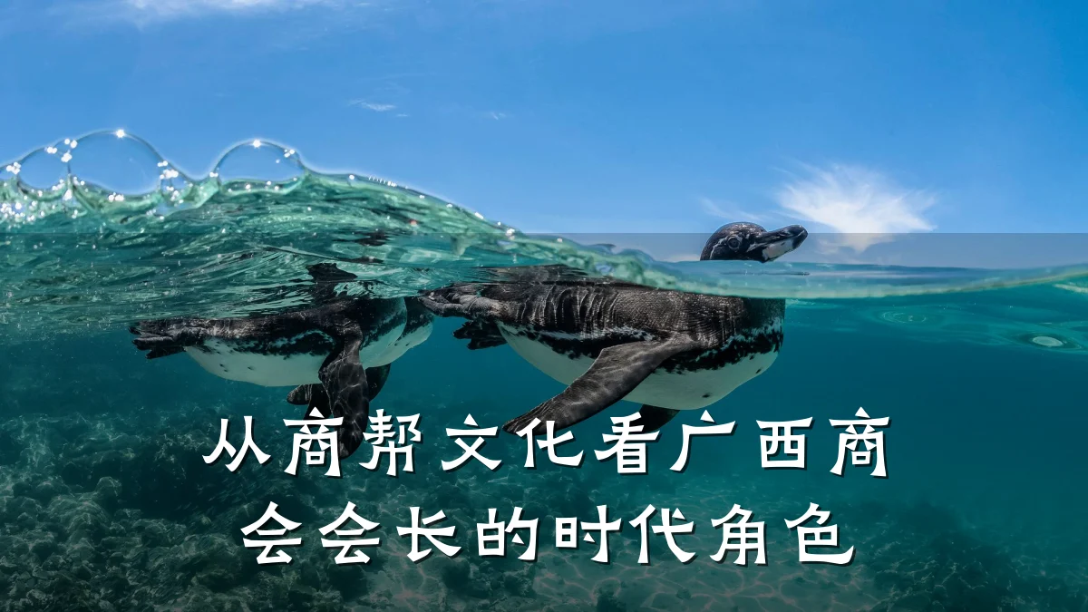 从商帮文化看广西商会会长的时代角色