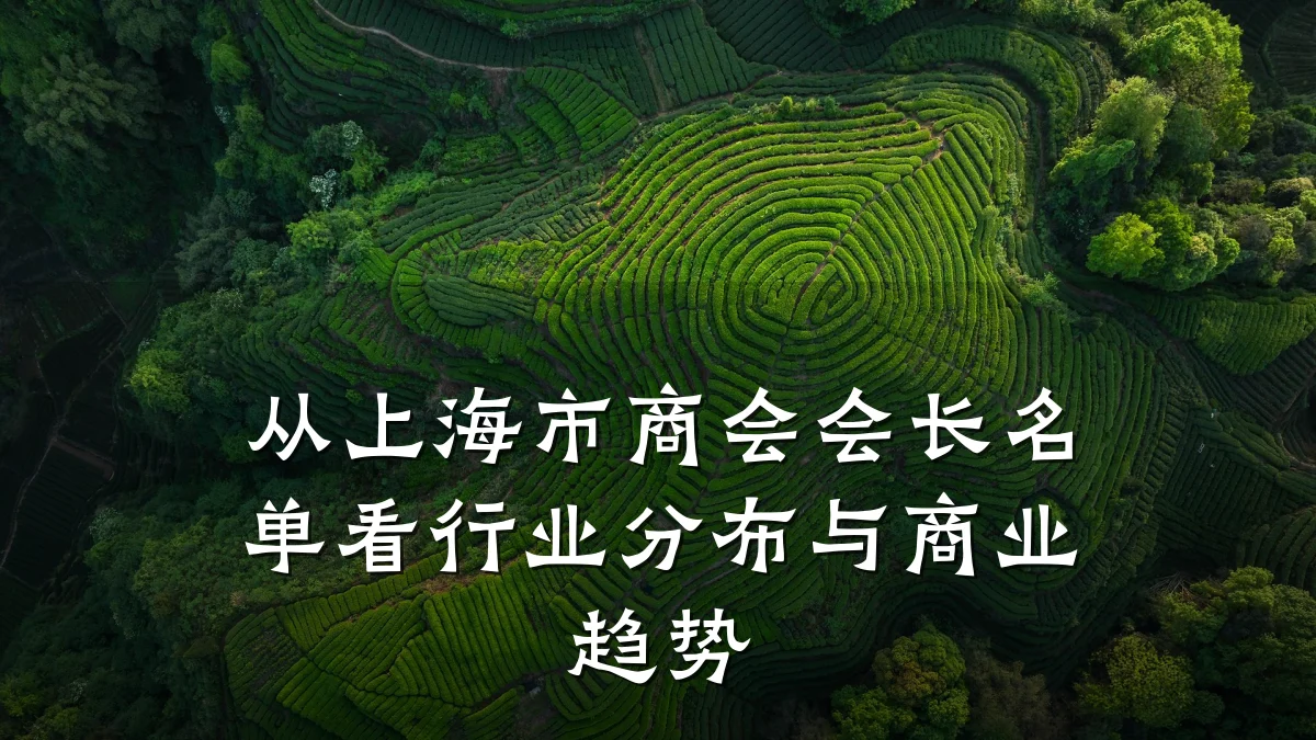 从上海市商会会长名单看行业分布与商业趋势