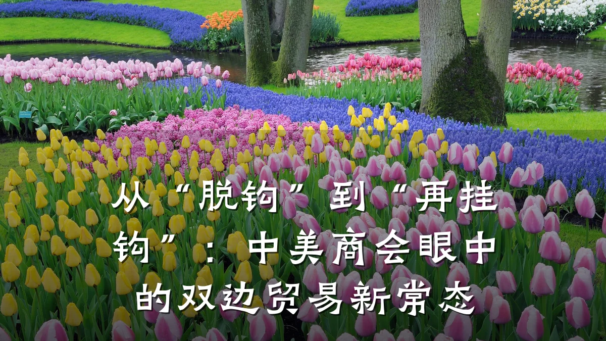 从“脱钩”到“再挂钩”:中美商会眼中的双边贸易新常态