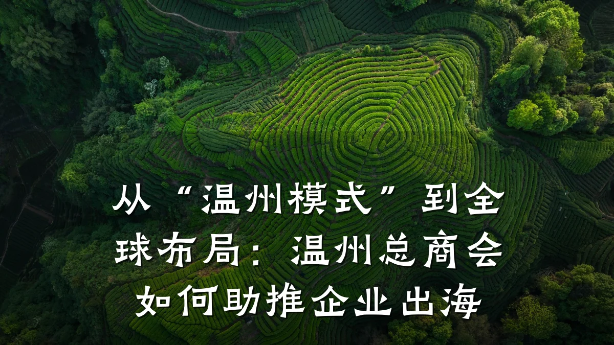 从“温州模式”到全球布局:温州总商会如何助推企业出海