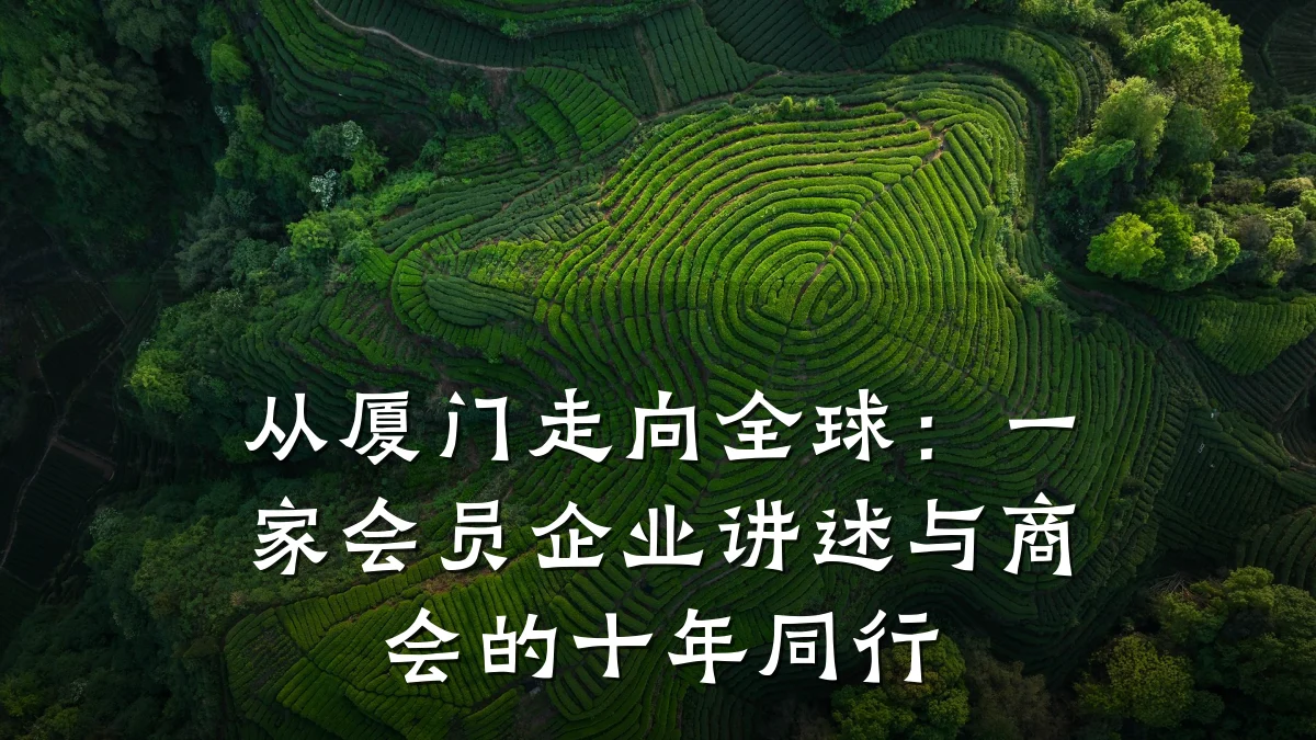 从厦门走向全球:一家会员企业讲述与商会的十年同行