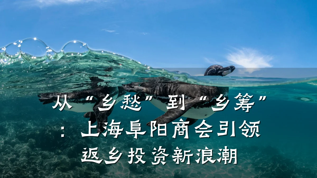 从“乡愁”到“乡筹”:上海阜阳商会引领返乡投资新浪潮