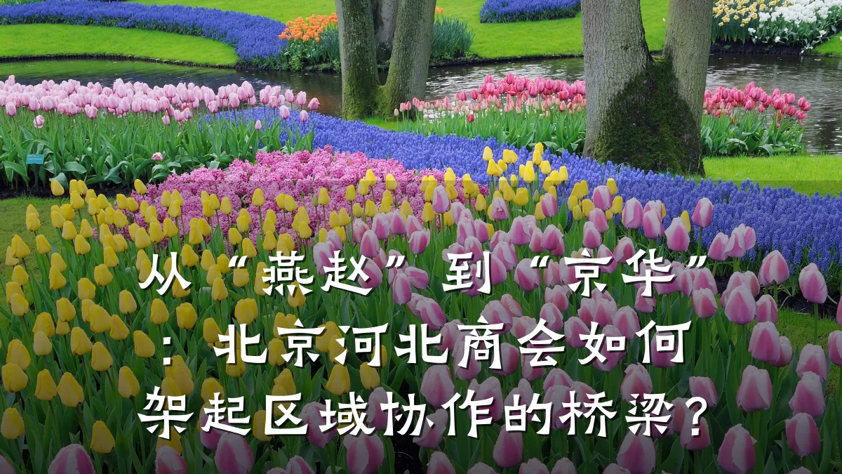 从“燕赵”到“京华”:北京河北商会如何架起区域协作的桥梁?