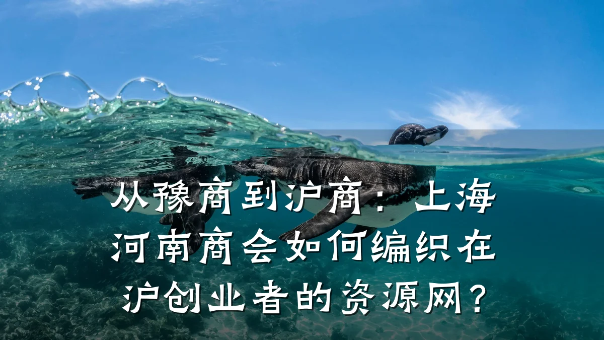 从豫商到沪商:上海河南商会如何编织在沪创业者的资源网?